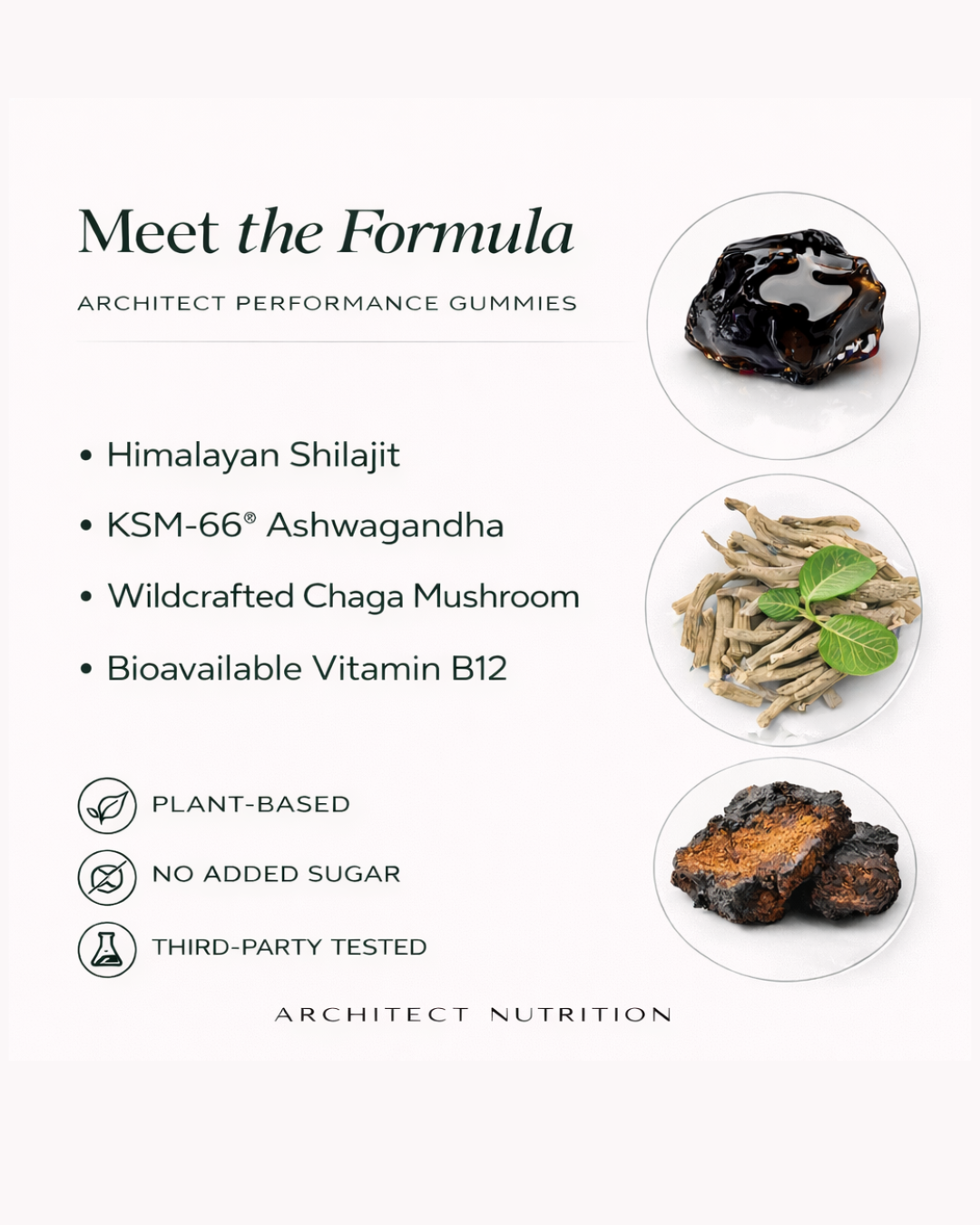 Shilajit + Ashwagandha Gummies